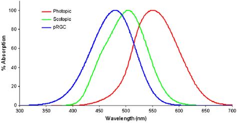 Spectral Sensitivity Curves For Photopic Vision Scotopic Vision And