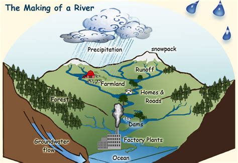 Freshwater Lakes And Rivers And The Water Cycle Archives IILSS