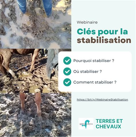 VIDÉO La stabilisation des sols Boutique en ligne de Terres et Chevaux