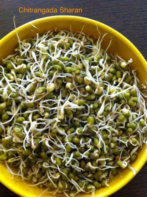 How to Grow Moong (Green Gram) and Kale Chane (Black Gram) Sprouts ...