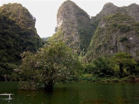 Enchanting Boat tour through river caves in Trang An, Vietnam – Mildly ...