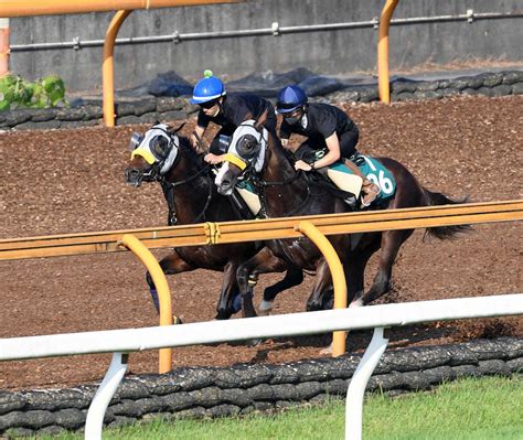 【新潟2歳s】シュヴァリエローズ、最後にグイッと半馬身前へ 清水久師「いい内容の追い切りができた」― スポニチ Sponichi Annex