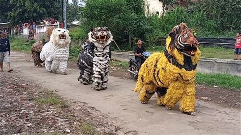 SERU MENGHIBUR KIRAB ATRAKSI CAN MACANAN SINGO RAUNG DAN SINGO