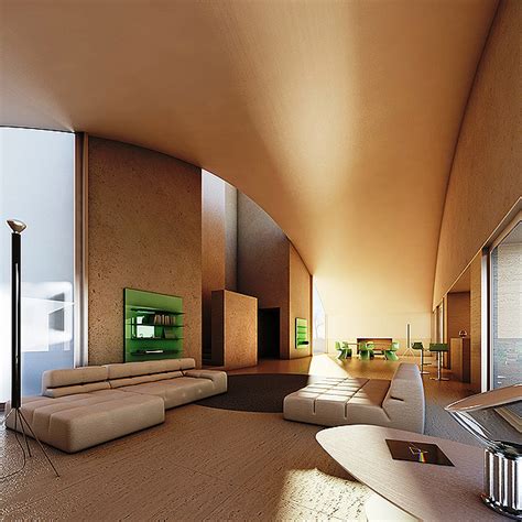 vaulted house designsigh