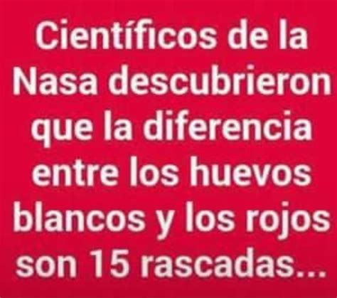 Pin de Mirta Cáceres en mensajes cómicos Frases divertidas Frases