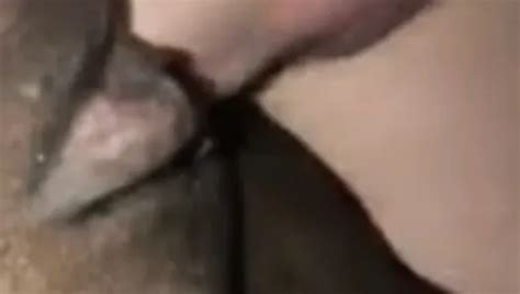 Free Black And White Homemade Porn Videos Xhamster