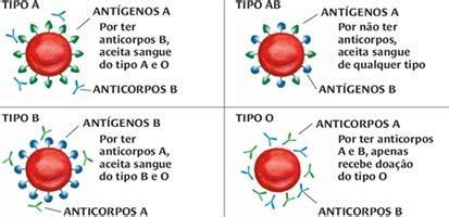 Como Explicar A Diferen A Dos Tipos Sangu Neos Nova Escola