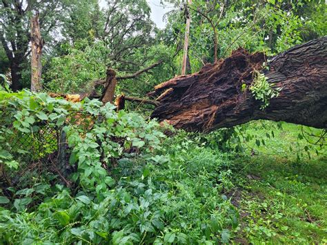National Weather Service Confirms Ef1 Tornado Struck Clevelands East Side