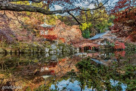 京都伏見区の醍醐寺弁天堂の紅葉を池越に Via Instagram Instagrampcw7xvkvj04