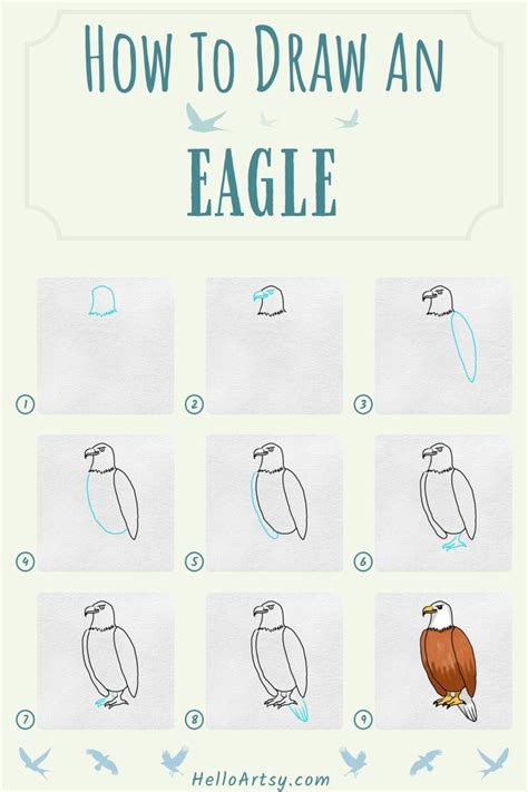 How To Draw An Eagle Easy 9 Steps Easy Eagle Drawing Lesson For Kids