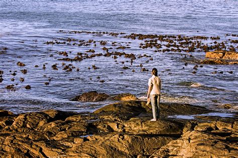 Free Images Beach Sea Coast Nature Sand Rock Ocean Bird Girl