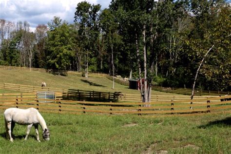 About Us Raven Hill Farms