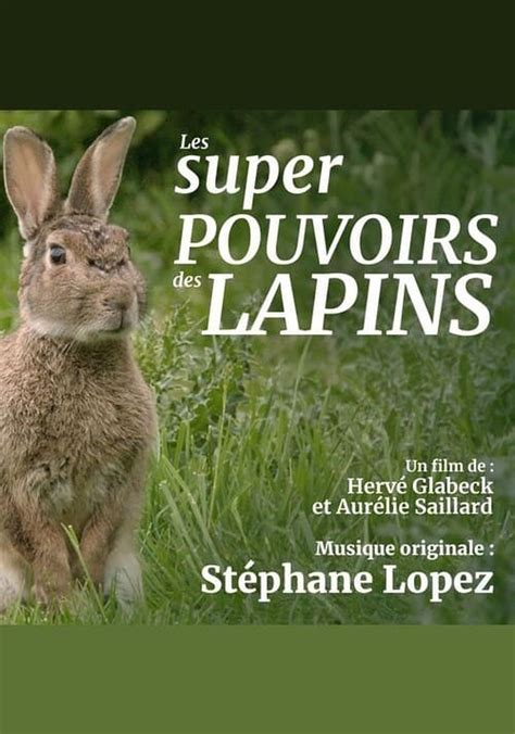 Regarder Les Super Pouvoirs Des Lapins En Streaming