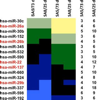 Differential Mirna Expression During Dag Mediated Osteogenic