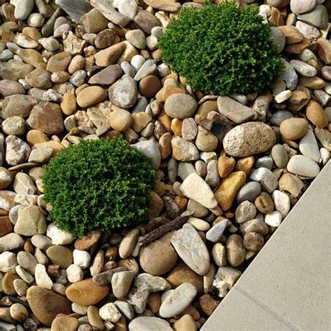 Landscaping Rocks | Decorative Rocks - RCP Block & Brick