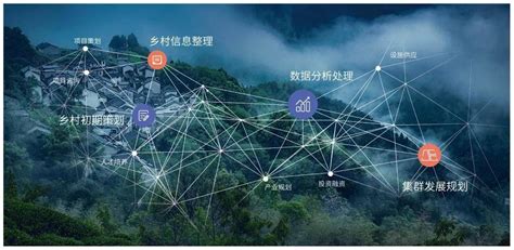 数字乡村：乡村振兴战略下的数字乡村发展路径研究农业