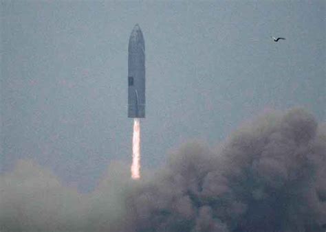 El Cohete Starship De Spacex Logra Aterrizar Tn8 Tv