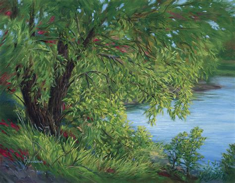 Plein Air Weeping Willow Tree Painting By Lucie Bilodeau Fine Art