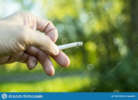 Cigarette In Handsmoking A Cigarette Against Green Vegetation Stock