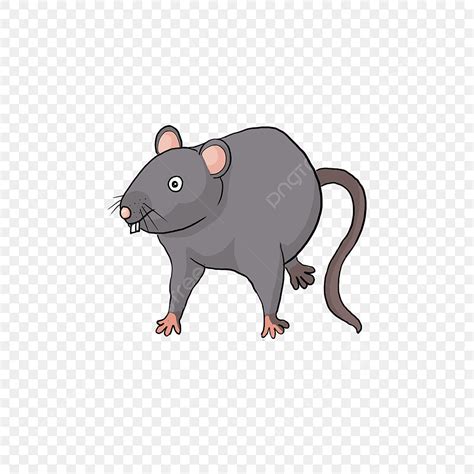 Imágenes Prediseñadas De Rata Rata Gris PNG Ratón Gris Clipart De