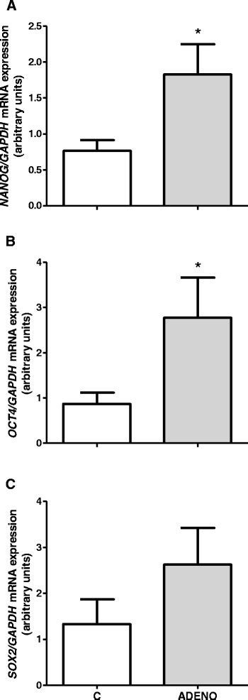 Rna Expression Of Pluripotency Markers Nanog A Oct4 B And Sox2 C In Download Scientific