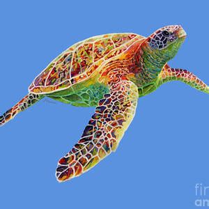 Sea Turtle 3 Painting By Hailey E Herrera Fine Art America