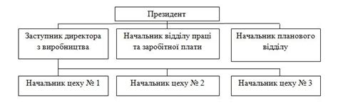 4. Лінійно-функціональна організаційна структура управління