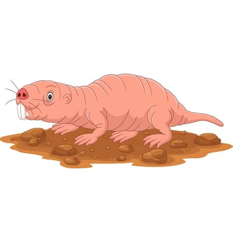 Vektor Ilustrasi Dari Kartun Pangolin Diisolasi Pada Latar Belakang