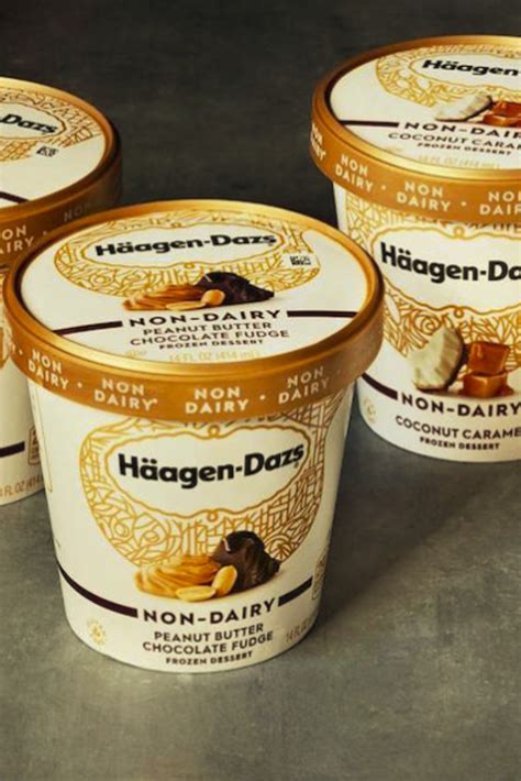 Haagen Dazs Is Launching Dairy Free Ice Cream Wellgood Dairy Free