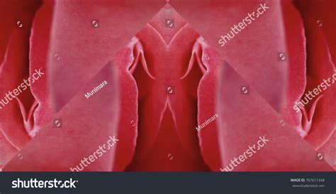 Sex Pussy Vulva Clitoris Vagina Orgasm Stock Photo Shutterstock