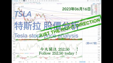 Tsla 特斯拉 股票价格走势的分析 2023年06月16日（第447期） Tesla K线技术分析 Youtube