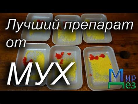 Лучший Препарат от Мух. Какое Средство Лучше Agita [Агита], Flybait ...