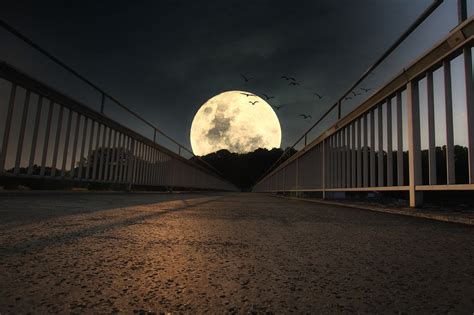 Bulan Menjembatani Arsitektur Foto Gratis Di Pixabay Pixabay