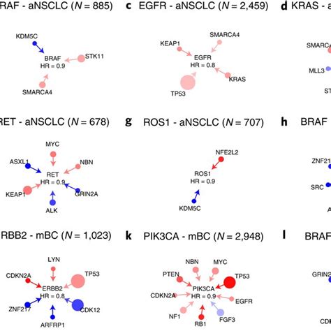 Mutationmutation Interactions For Genes That Modify The Effect Of