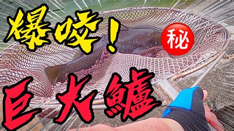 【江江哥愛釣魚】海釣場走餌釣法大公開｜大魚爆咬拉到手酸barramundi 台湾の釣 Fishing 海釣場 Fishing 釣魚 前打