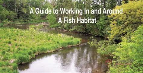 guide-to-fish-habitat - Denbow