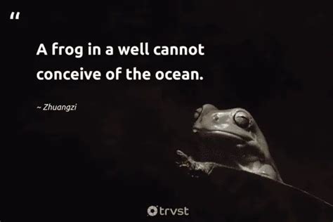 27 Frog Quotes about the Diverse Amphibians