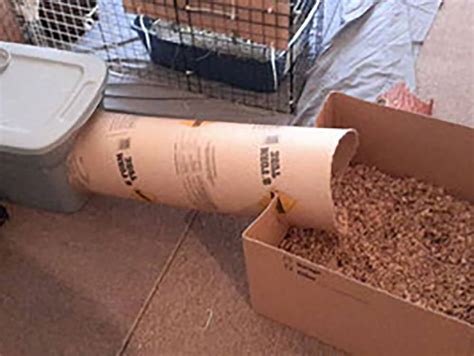 Diy Rabbit Digging Box Ideas Uk Pets