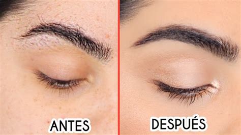 CÓmo Depilar Las Cejas En Casa Paso A Paso Depilar Cejas Cejas