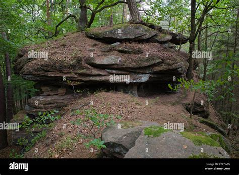 Sandstone rocks on a hiking trail near Schönau Palatinate Germany Stock