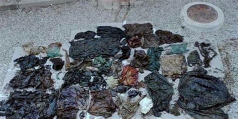 5 Fakta Kematian Paus Di Wakatobi 5 9 Kg Sampah Plastik Di Perut