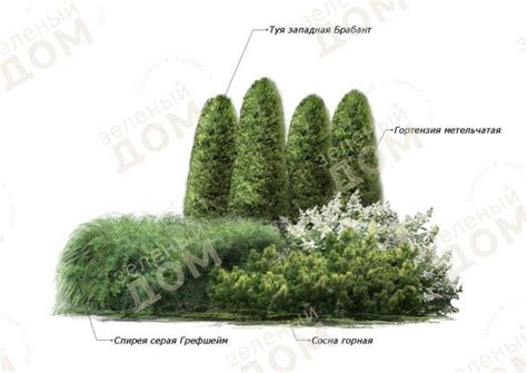 Баланс белого