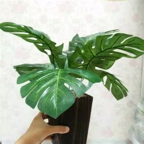 Jual New Produck Daun Monstera Deliciosa Monstera Deliciosa Sintetis Artificial Shopee