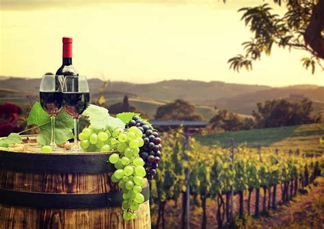 The Best Winery Tours in Nashville | Wine Tasting