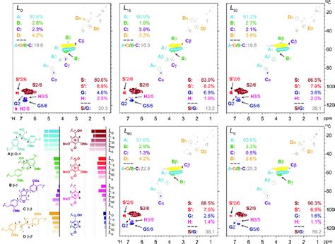 Main Substructures Of Lignin Identified And Semiquantified In The D