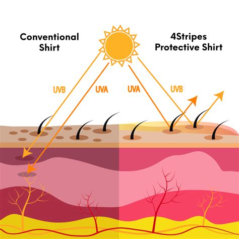 UV Rays - Pilot shirt - UV Rays can suppress the Skin's immune system