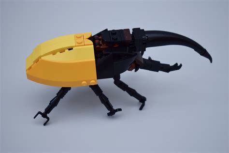 Lego Ideas 21342 The Insect Collection Review