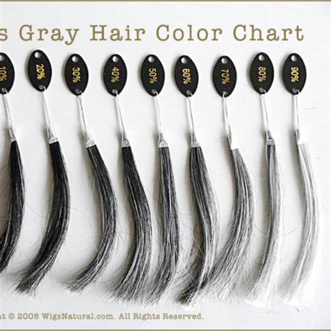 Ash Grey Hair Color Chart