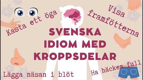 Svenska IDIOM Med KROPPSDELAR YouTube