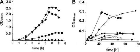 Aerobic A And Anaerobic B Growth Of E Coli Wild Type And Mutant